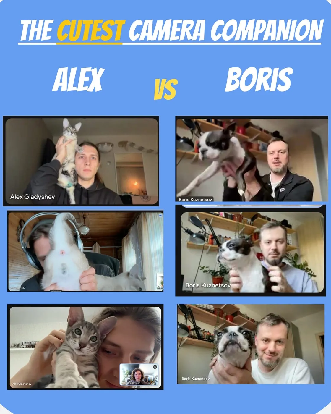 A blue poster titled "The cutest camera companion", Alex vs Boris: three video-call tiles of Alex holding up his cats down the left, three of Boris with his Boston terrier down the right
